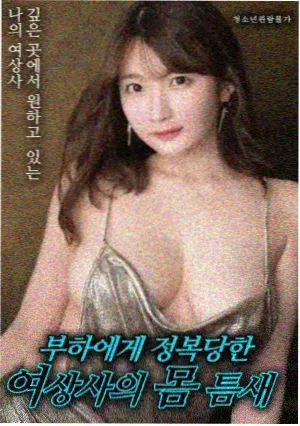 她与她海报